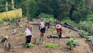 Perempuan peladang di Desa Datar Ajab, Kecamatan Hantakan, Kabupaten Hulu Sungai Tengah, Provinsi Kalimantan Selatan. Foto : Istimewa