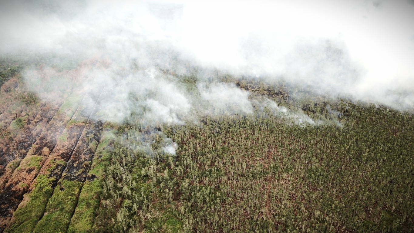 You are currently viewing Kalimantan Dikepung 9.853 Titik Panas Menjelang El Nino